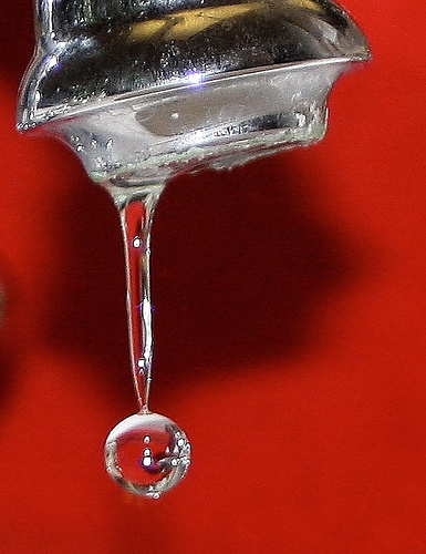 Récupérateur d'eau