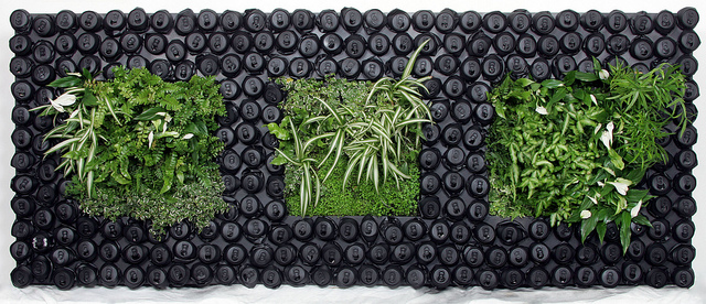 Inspiration pour un mur végétal dans votre appartement