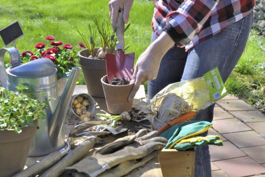Outils indispensables du potager au balcon