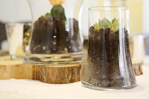 Fabriquer votre propre terrarium