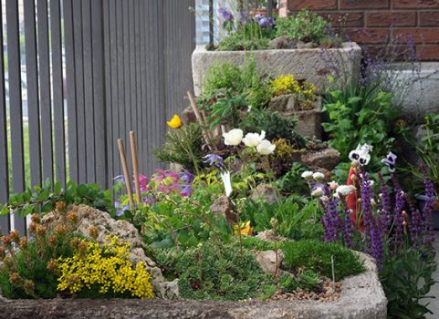 Commencer un potager au balcon en mars
