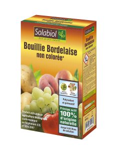 Bouillie bordelaise