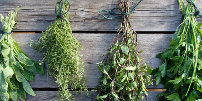 Herbes sechees