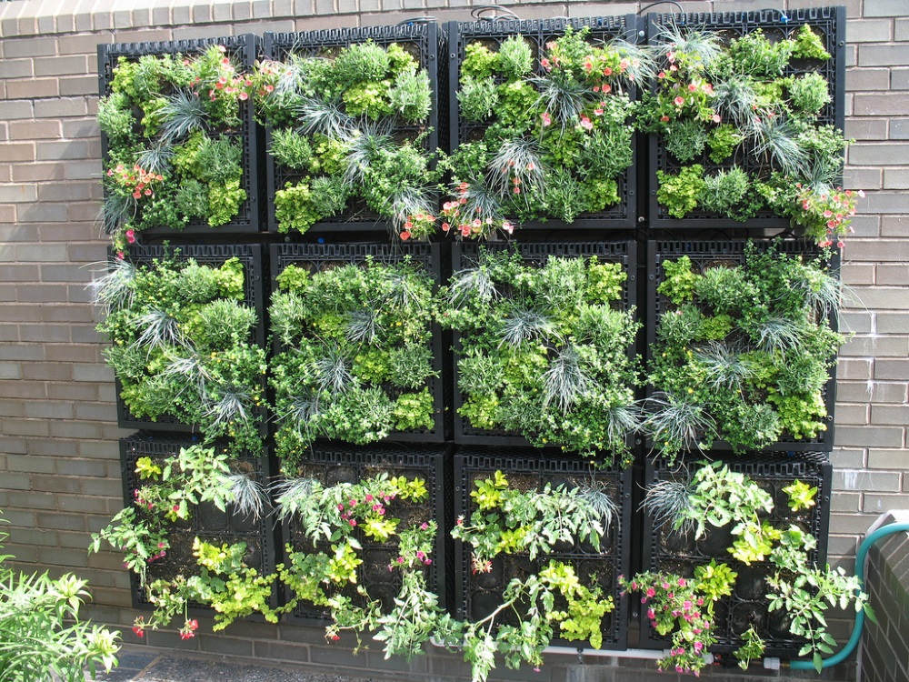 un potager pour votre balcon comment cr er un potager vertical creer un mur vegetal avec une