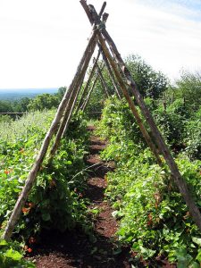 Une structure en A pour un jardin aéré et des supports robustes