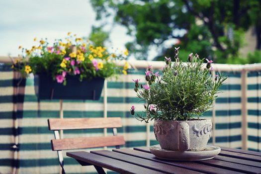 Ajouter une touche de couleur à votre balcon