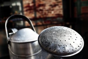 Trop d'eau peu nuire à votre lavande