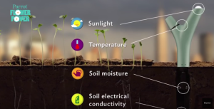 Le Parrot Flower Power capture des données sur l'environnement de vos plantes.