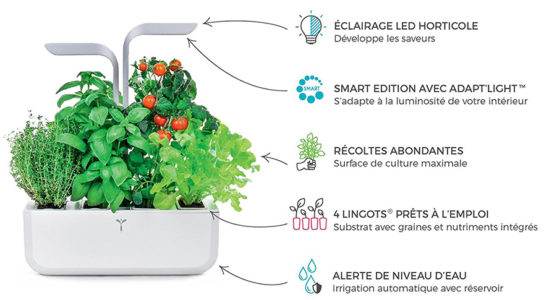 Potager Véritable SMART