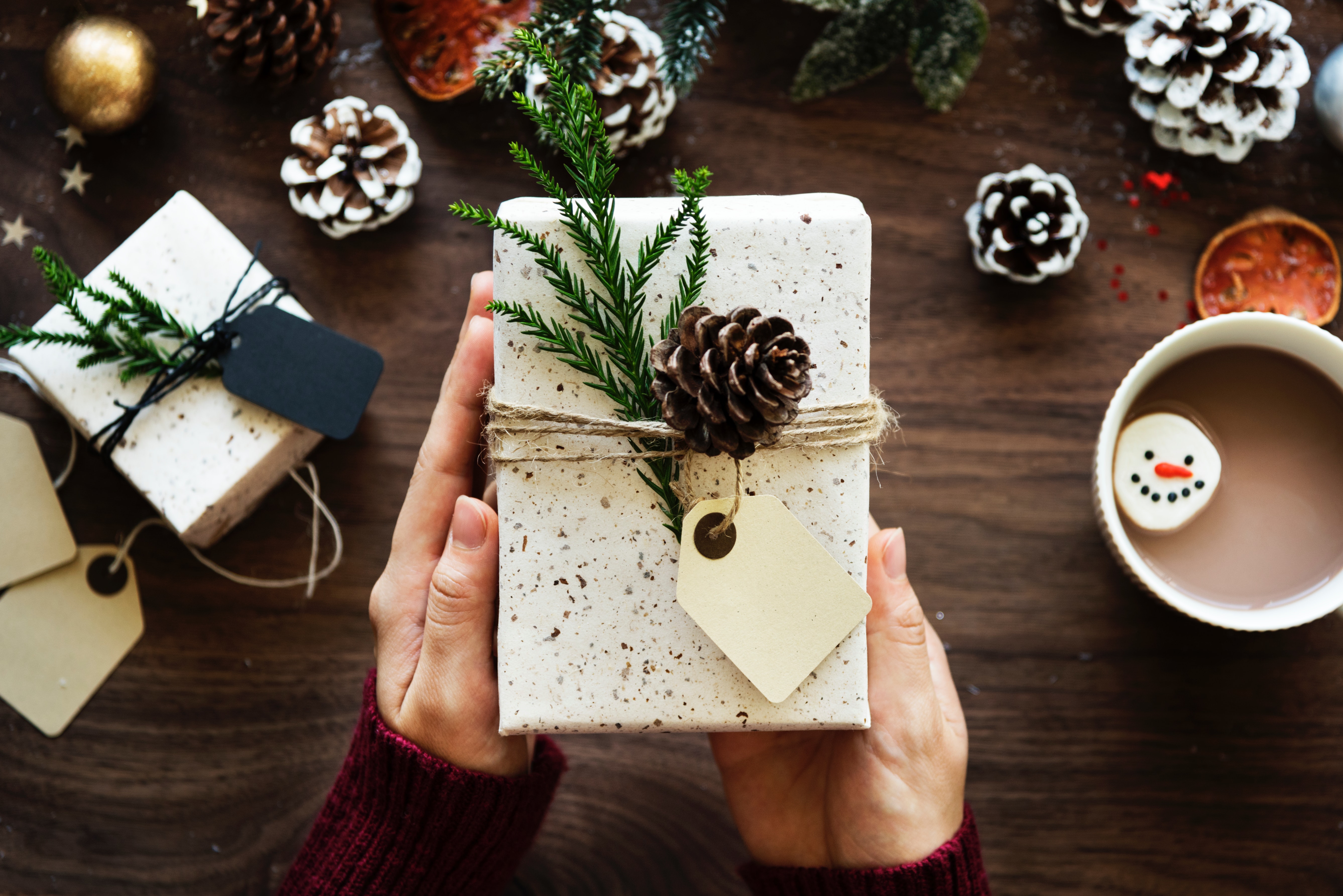 Idées cadeaux pour jardiniers - Noel 2018