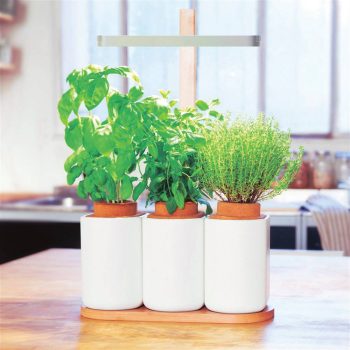 Quel potager d'intérieur choisir ?