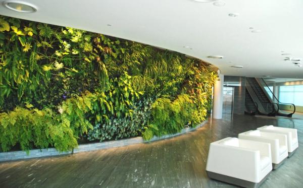 Mur végétal
