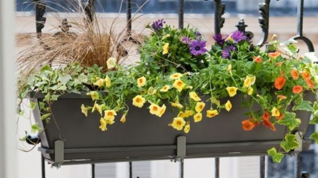 Jardinières sur un balcon