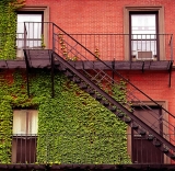 Un balcon fleuri en automne, c’est possible
