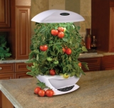 L’hydroponie pour un potager d’intérieur performant